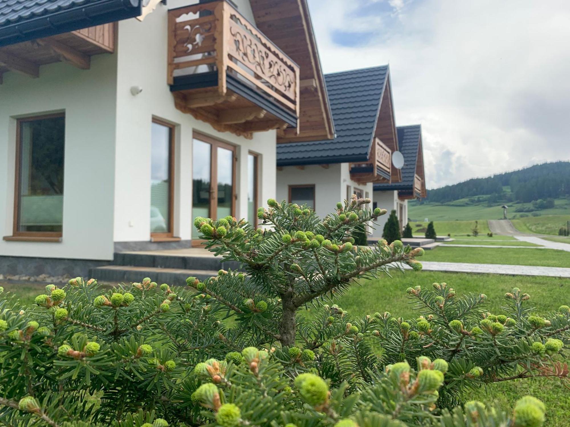 Villa Dobre Miejsce à Niedzica Extérieur photo